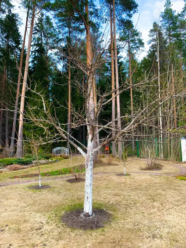 ПОСЛЕ